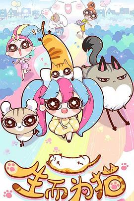 seo长尾词优化厂家